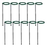 Liakyunf Pflanzenstützstäbe – Indoor-Pflanzstäbe ausziehbar,...