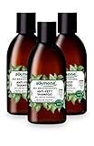 alkmene Anti Fett Shampoo mit Bio Brennnessel - Haarshampoo für fettige Haare - veganes...