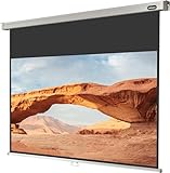 celexon manuell ausziehbare Heimkino- und Business-Beamer-Leinwand 4K und...