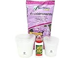 Orchideen-Set für die Zucht oder zum Umtopfen'Orchideenerde - Orchideen-Dünger...