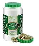VITA IDEAL Vegan® Kletten Wurzel 90 Kapseln - Arctium lappa - Tagesportion 940mg...