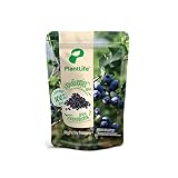 PlantLife BIO Heidelbeeren getrocknet 350g - Rohe, Luftgetrocknete, Ungezuckerte und...