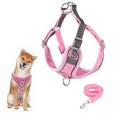 Hundegeschirr mit Hundeleine Set, Air-Mesh Atmungsaktiv Brustgeschirr für...