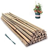 Pflanzstäbe (20er-Pack) – Bambus-Pflanzstäbe, Tomaten, Reben, Blumenstütze –...