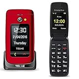 Emporia TellMe X200 Grosstasten-Klapphandy (mit Farbdisplay Aussendisplay...