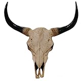 Mendler Deko Schädel 45cm HWC-T454, Polyresin Stier Bulle Longhorn Kopf Trophäe,...