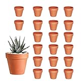 HDKAJL 20 Stücke Terrakotta Topf, Tonpflanztöpfe, Mini Blumentopf Terrakotta mit...