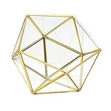 Glas-Terrarium-Aufbewahrungsbox Schmuckhalter Glas Geometrische Tischplatte Sukkulenten...