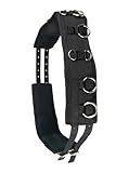 Brama West Longiergurt Pferd - Voltigiergurt mit 12 Ringen - verstellbar - Gr. Cob