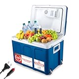 TZS First Austria - Kühlbox 45L elektrisch 12V 230V Anschluss für Auto &...