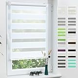 Grandekor Doppelrollo Klemmfix ohne Bohren Weiß 40x120cm(Stoffbreite 36cm)...