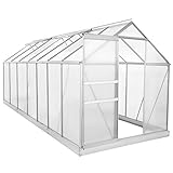 Zelsius Aluminium Gewächshaus für den Garten | inklusive Fundament | 430 x 190...