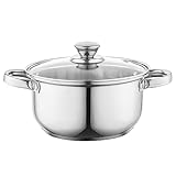 FLORINA Topf aus Edelstahl (2,9 l) 20 cm I Kochtopf mit Glasdeckel I Mit Messbecher und...