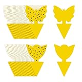 KEWUZY 60 x Gelbsticker Trauermücken, Fliegenfalle, Gelbtafeln Fruchtfliegenfalle...