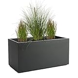 Pflanzwerk® Pflanzkübel TUB Anthrazit 30x60x30cm XXL – Rechteckig – Großer...