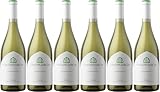 Casa Primicia Casa Primicia Chardonnay Rioja DOCa 2022 Trocken (6 x 0.75 l)