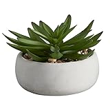 47th & Main Künstliche Sukkulenten im Topf, 12,7 cm hoch, Crassula/Grau