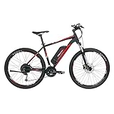 Fischer E-Mountainbike, MONTIS EM 1726 E-Bike MTB für Damen und Herren, RH 48 cm,...
