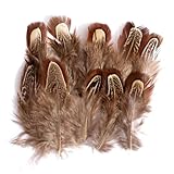 100 Stück natürliche Fasanenfedern, braune Federn zum Basteln, Nähen, Kleidung,...