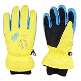 TRIWONDER Thermal Fleece Skihandschuhe Snowboard Handschuhe wasserdichte warme...