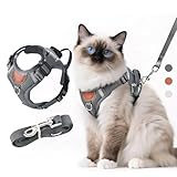 LUOJINYI Verstellbares Katzengeschirr mit Leine Ausbruchsicher, Katze Brustgeschirr mit...