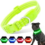 PZRLit Leuchthalsband Hund Aufladbar, Hundehalsband Leuchtend für Klein Mittel...