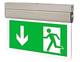 RR_NORD Notleuchte LED IP65 Notbeleuchtung Rettungszeichenleuchte...