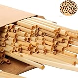 600 Stück Wildbienen Nisthülsen, 20cm Länge, Umweltfreundliche Bambus-Röhren...