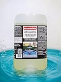 CleanPrince Brunnenreiniger 5 Liter | Brunnen Springbrunnen Wasserklärung...