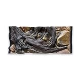 ZooPaul Aquarium Rückwand 3D 100x40cm 100x50cm 100x60cm Terrarium Hintergrund...