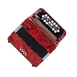 SUIOPPYUW Akkordeon 8 Bass 22 Tasten Professionelles Instrument Musikalische Ausrüstung...
