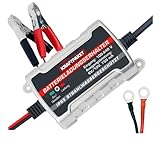 Dino KRAFTPAKET 750mAh-6V/12V Erhaltungsladegerät/Intelligentes und voll-automatisches...