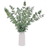 Beferr 12 Stück Eukalyptus Zweig Künstlich Pflanze, Eukalyptus Blätter Deko...