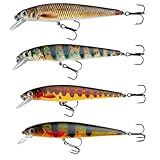 Elbfang© Zander Hecht Wobbler Set | 4 Stück | flachlaufend | Natur Farben |...