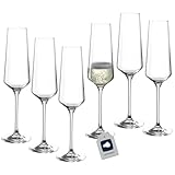 LEONARDO HOME Sektgläser PUCCINI (6er Set) • kratzfeste Sektgläser (280 ml) •...