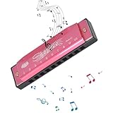 Mundharmonika 10 Holes Mundharmonika C Dur, Blues Mundharmonika Set, Mit Etui,...