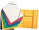 VON Leitz 10er Pack, Eckspannermappe A4, Karton, Für 150 Blatt, 3 Klappen, Mappe mit...