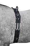 equi-deluxe Longiergurt mit Haltegriffen, Reitlerngurt, Voltigiergurt, Trainingsgurt mit 8...