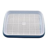 Double Layer Bean Sprouts Hydroponic Tray Seedling Tray Planting Dishes Growing Vegetables...