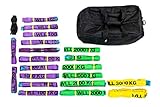 Dolezych Rundschlingen-Set 1000 - 3000 kg Tragfähigkeit, 20-teilig - Violett / Grün /...