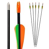 Bogenkönig Pfeile für Bogenschießen 5er Set aus Fiberglas mit Spitze Metal...