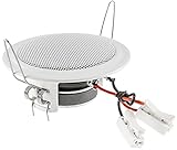 ChiliTec Einbaulautsprecher Deckenlautsprecher 45W flach Einbau Decke Wand Rund 106mm...