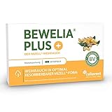 Mizell Weihrauch Kapseln – 50-fach bioverfügbar mit Vitamin K2 – 500 mg & 250 mg AKBA...