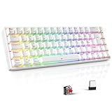 TECURS Gaming Tastatur - RGB Mechanische Tastatur Kabellos Bluetooth/2.4G/Mit Kabel, 65%...