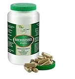 VITA IDEAL Vegan® Brennnessel Wurzel 360 Kapseln - Urtica dioica - Tagesportion 650mg...