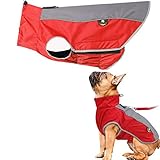 PLUS PO Hund Regenmantel Kleiner Hund Wasserdichter Regenmantel Hund Regenmantel Hund...
