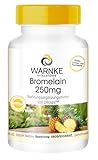 Bromelain Kapseln - 250mg Bromelain pro Kapsel - 600 F.I.P - natürliches...