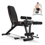 Klappbare Schrägbank Bauchtrainer, Multi Trainingsbank Hantelbank Verstellbar Physionics...