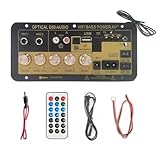 Audio -Verstärker -Board, Amp -Board - DC 12V 24V Verstärkermodul mit Fernbedienung |...