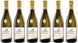 Grauburgunder Baßgeige Kabinett Trocken aus Baden, 6x0,75l I Vielseitig & Elegant I Ideal...